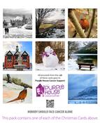 Christmas Cards with beautiful imagery