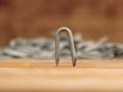 Galvanised Fence Staples