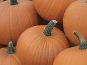 Pumpkin 'Racer F1'