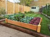 Deluxe Raised Bed Kit - 22.5 cm H
