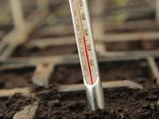 Tenax Soil Thermometer