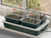 Fab 4 Electric Propagator