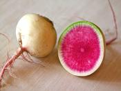 Radish 'Red Meat' image