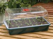 Large High Dome Propagator