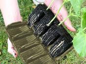Deep Rootrainers