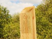 Square Garden Sloped Posts / Fencing Stakes image