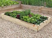 Premier Timber Raised Beds 17.5 cm H