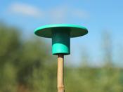 Mushroom Cane Protector Caps 10 Pack image
