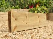 120cm x 22.5cm x 33.5mm Board