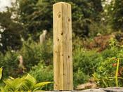 53 cm x 100 mm x 100 mm Post
