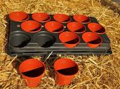 Plantpak Plant Tray With Pots &amp; Capillary Matting image