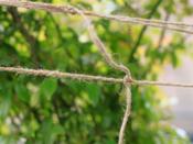 Jute Netting Plant Support 2 m x 5m