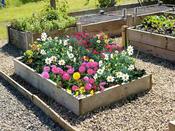 Raised Flower Bed Kit 22.5 cm