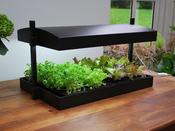 Grow Light Indoor Garden - Self Watering