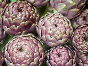 Artichoke Violet de Provence image