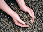 Comfrey Pellets 1 - 3 L image