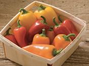 Pepper Lunchbox Mix image