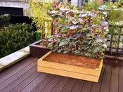Raised Bed for Climbing Plants - 1.8 m x 1.2 m