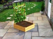 Raised Bed For Climbing Plants 1.2 m x 1.2 m