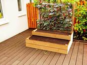 Raised Split Level Bed For Climbing Plants image
