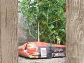 Botanico Growbag Cane Support 3 Pack