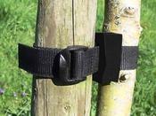 Tree Ties