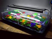 Vitopod Light and Support Kit For Propagator - 90 cm