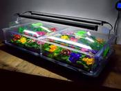 Vitopod Large Propagator With Lights &amp; Support Brackets
