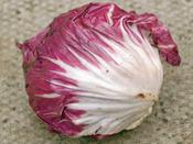 Radicchio 'Palla Rossa'