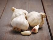 'Messidrome' Garlic