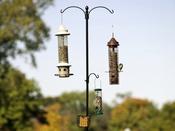 Two Way Bird Feeding Station image