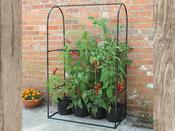 Tomato Crop Booster Frame