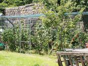 Walk In Fruit Cage Starter Kit