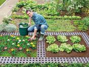 Maxi Garden Board 4 Pack