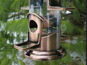 Brushed Copper 6 Port Seed Feeder image