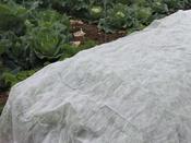 Heavy Duty Garden Fleece Rolls 1 m x 10 m image