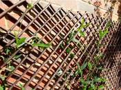 Expanding Willow Trellis image