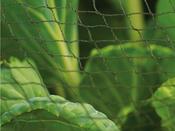 Multi Purpose Knitted Garden Netting