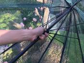 Pop'n'Crop Plant Umbrella image