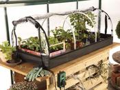 Bio Green Jumbo Propagator