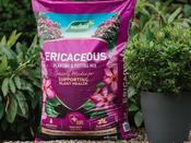 Westland Ericaceous Compost - 50 L