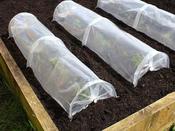 Haxnicks Easy Seedlings Tunnels - 3 Pack