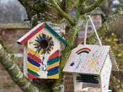 Paint Your Own Nest Box