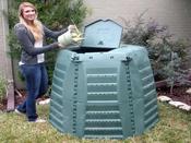 Thermo-Star Composter - Green image