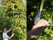 ARS LR Telescopic Pruner 180ZF 2 m