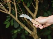 Kent &amp; Stowe Pruning Knife