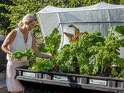Vegepod Large Raised Bed with Cover