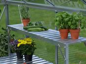 Top Tier Extension Greenhouse Staging