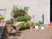 Stepped Herb Planter image