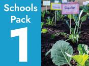 School Vegetable Garden Pack 1